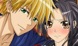 会长大人是女仆动漫,揭秘会长大人的甜蜜守护